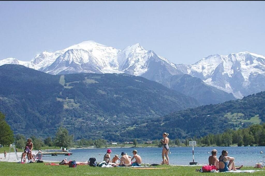 Super Appartement Cocooning Vu Mont Blanc 살랑쉬 외부 사진